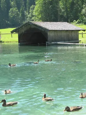 Naturlandschaft in der Nähe der Pension
