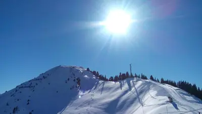 Gasthof zur Gams im Winter