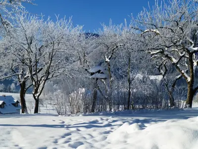 Lehnerhof im Winter