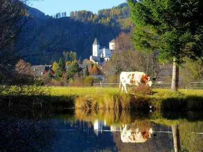Naturlandschaft in der Nähe der Ferienwohnung