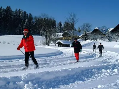 Am Ferienbauernhof Schmiedbauer com Salzkammergut im Winter
