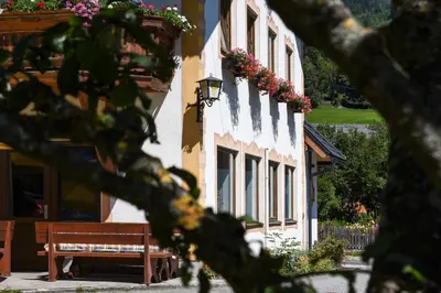 Ein Garten an der Unterkunft Gasthof Neuwirt