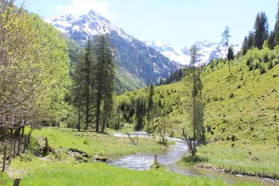Naturlandschaft in der Nähe des Bauernhofs