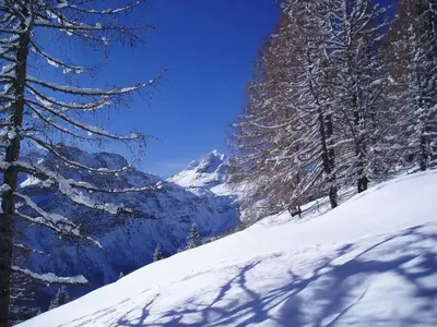 Berggasthof-Ferienbauernhof Habersatt im Winter