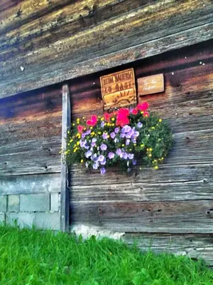 Ein Garten an der Unterkunft Rettlhof