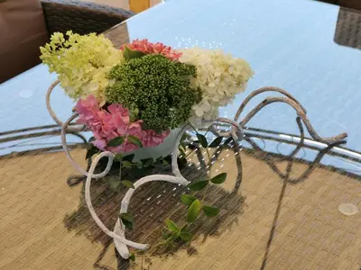 Ein Garten an der Unterkunft Ferienwohnungen Thalmeier