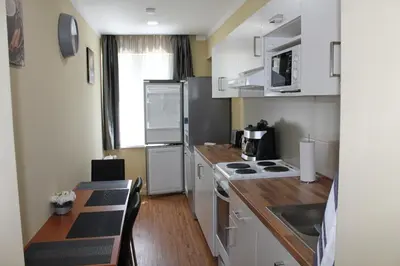 Küche/Küchenzeile in der Unterkunft Kirschbaum Apartment