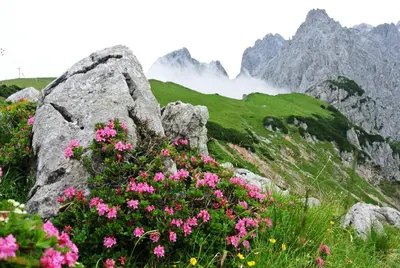 Naturlandschaft in der Nähe der Pension