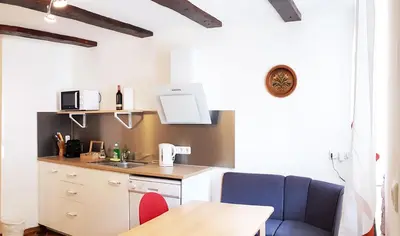 Küche/Küchenzeile in der Unterkunft Aparthotel Pan Haus