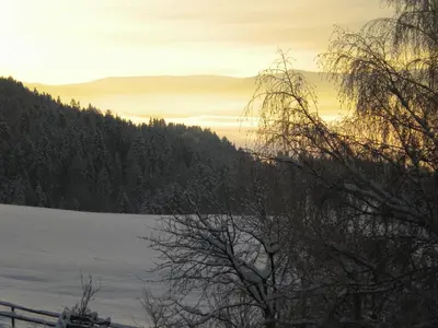 Naturlandschaft in der Nähe des Bauernhofs