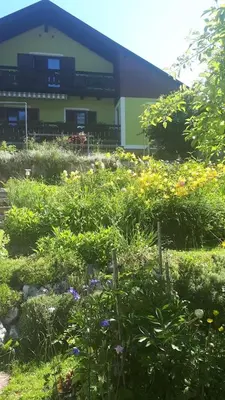 Ein Garten an der Unterkunft Haus Pilz