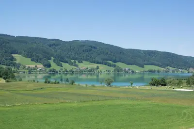 Naturlandschaft in der Nähe des Bauernhofs
