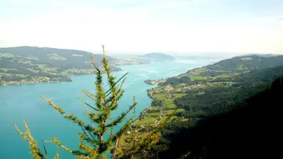 Naturlandschaft in der Nähe der Ferienwohnung