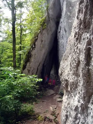 Naturlandschaft in der Nähe der Ferienwohnung