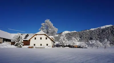 Ferien am Land - WALDBAUER im Winter