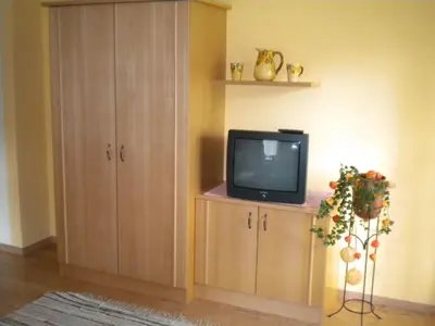 TV/Unterhaltungsangebot in der Unterkunft Apartment Könighaus