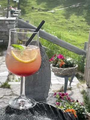 Getränke in der Unterkunft Berghotel Türlwand
