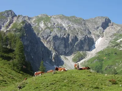 Naturlandschaft in der Nähe der Ferienwohnung