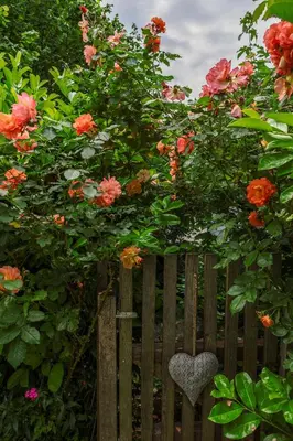 Ein Garten an der Unterkunft Ferienwohnung Kastenmühle im Mondseeland