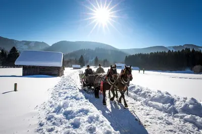Ferienwohnung Syen im Winter