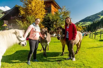 Tiere im Hotel oder in der Nähe