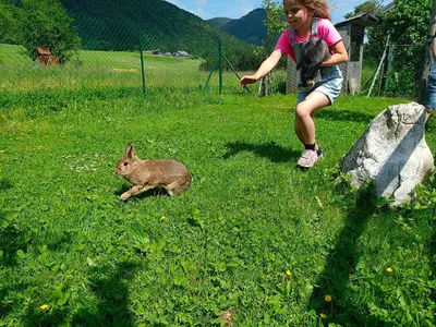 Tiere in der Ferienwohnung oder in der Nähe