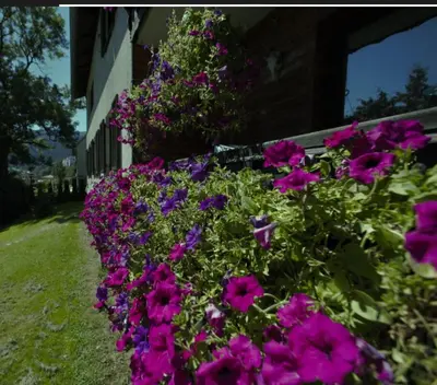 Ein Garten an der Unterkunft White Pearl Apartment