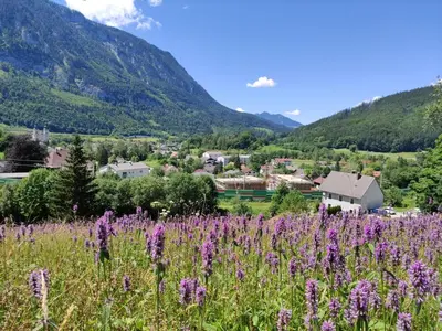Naturlandschaft in der Nähe der Pension