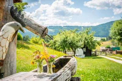 Naturlandschaft in der Nähe der Ferienwohnung
