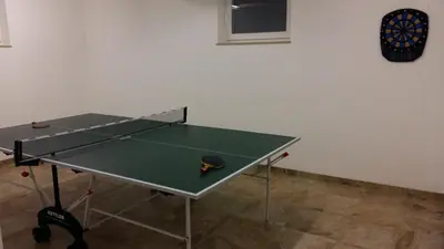Tischtennis in der Unterkunft Gollehenhof oder in der Nähe