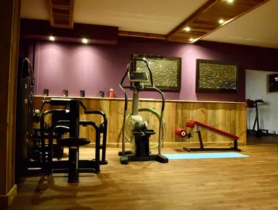 Das Fitnesscenter und/oder die Fitnesseinrichtungen in der Unterkunft Gosau Apartment 006