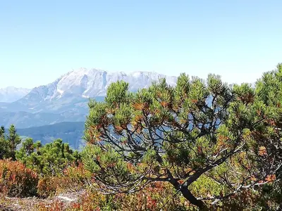 Naturlandschaft in der Nähe des Ferienhauses