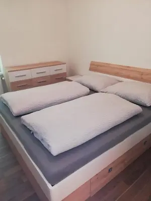 Ein Bett oder Betten in einem Zimmer der Unterkunft Panorama Appartment