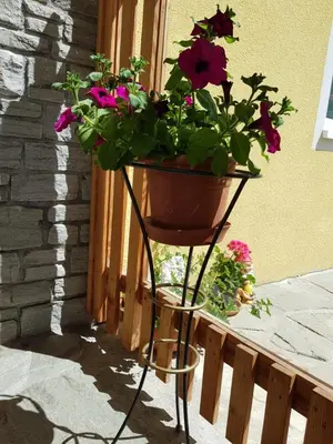 Ein Garten an der Unterkunft Appartement Königslehen