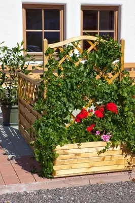 Ein Garten an der Unterkunft Sonnalm