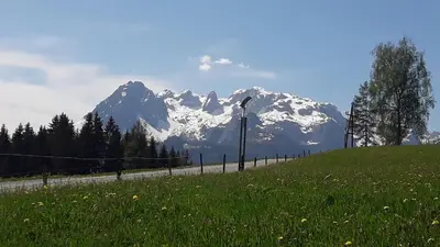 Naturlandschaft in der Nähe des Ferienhauses