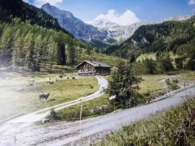 Naturlandschaft in der Nähe der Pension