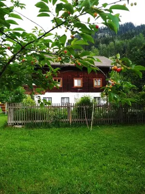 Ein Garten an der Unterkunft Blonbauer