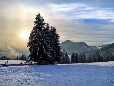 Naturlandschaft in der Nähe der Pension