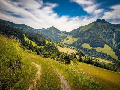 Naturlandschaft in der Nähe der Ferienwohnung