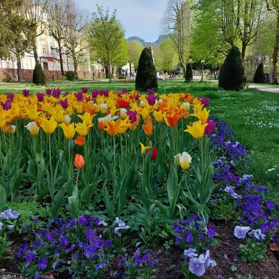Ein Garten an der Unterkunft Schmaranzer