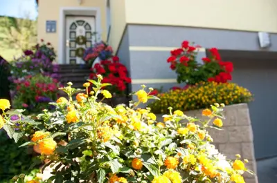 Ein Garten an der Unterkunft Haus Fritzenwallner Appartement 2