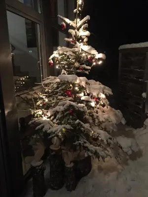 Ferienwohnungen Ellmer im Winter