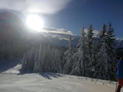 Ferienwohnungen Ellmer im Winter