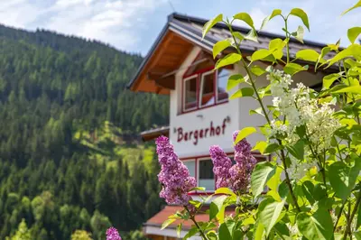 Naturlandschaft in der Nähe der Pension