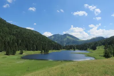 Naturlandschaft in der Nähe der Lodge