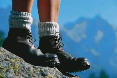 Ein allgemeiner Bergblick oder ein Berglick von des Ferienhauses aus