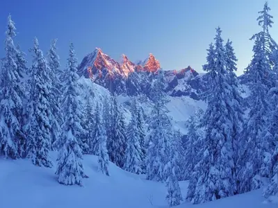 Apartment in Filzmoos near Ski Amadé im Winter