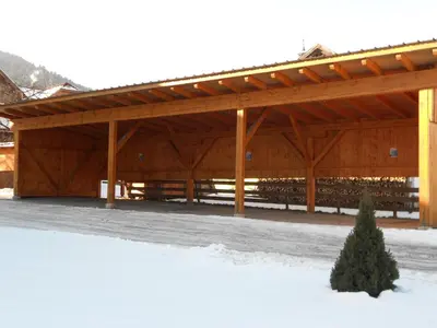 Pension Thorerhof im Winter