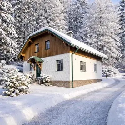 Ferienhaus Saxenauer